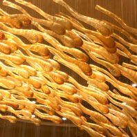 A close-up of a large custom lighting hotel chandelier featuring golden, elongated glass elements. This big chandelier showcases intricate, textured glass pieces resembling flowing water or molten gold. Each piece has a curved, organic shape with a bulbous end, creating a sense of movement and fluidity. The warm golden hues shimmer and reflect light, giving the impression of a luminous, flowing river suspended in mid-air. This unique custom lighting design transforms the hotel space into a mesmerizing, luxurious environment.