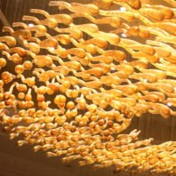 A close-up of a large custom lighting hotel chandelier featuring hundreds of golden, tadpole-shaped glass elements. This big chandelier showcases intricate, textured glass pieces resembling swimming tadpoles, each with a rounded head and curved tail. The golden hues create a warm, glowing effect, with light reflecting off each piece. The elements are arranged in a flowing, dynamic pattern, giving the impression of a swarm in motion. This unique custom lighting design transforms the hotel space into a captivating, underwater-inspired wonderland.